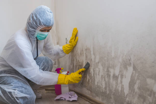 Best Emergency Mold Removal  in Linden, TN