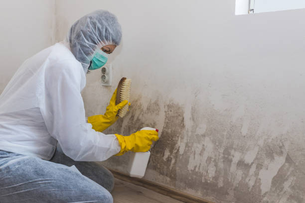 Best Mold Remediation  in Linden, TN