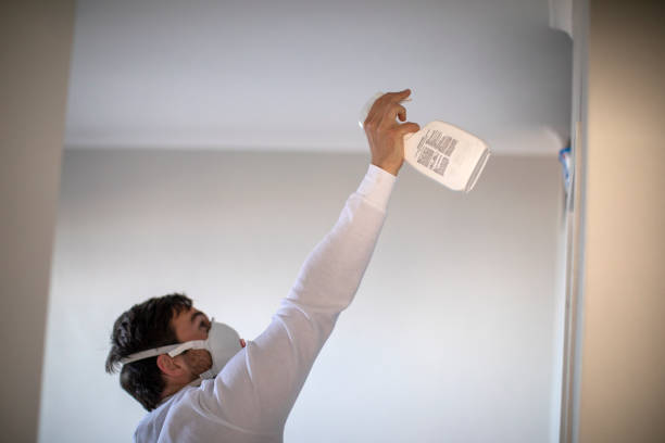 Best Office Mold Removal Services  in Linden, TN