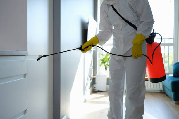 Best Attic Mold Removal  in Linden, TN