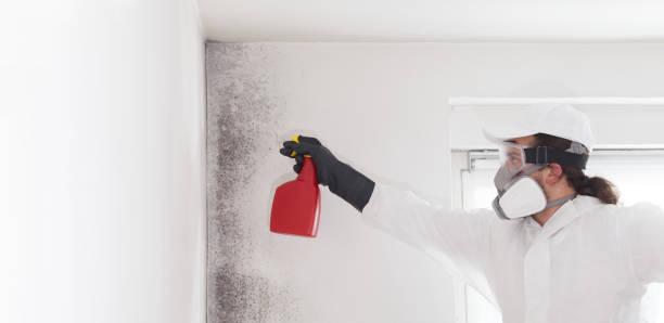 Best Toxic Mold Removal  in Linden, TN
